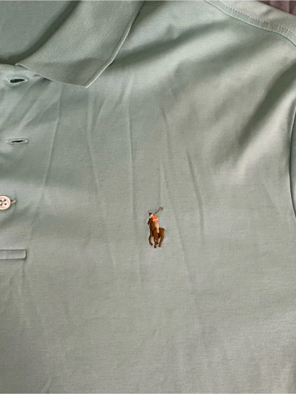 Polo by Ralph Lauren Men’s Mint Green Cotton Polo